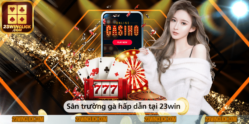 Sân trường gà hấp dẫn tại 23win